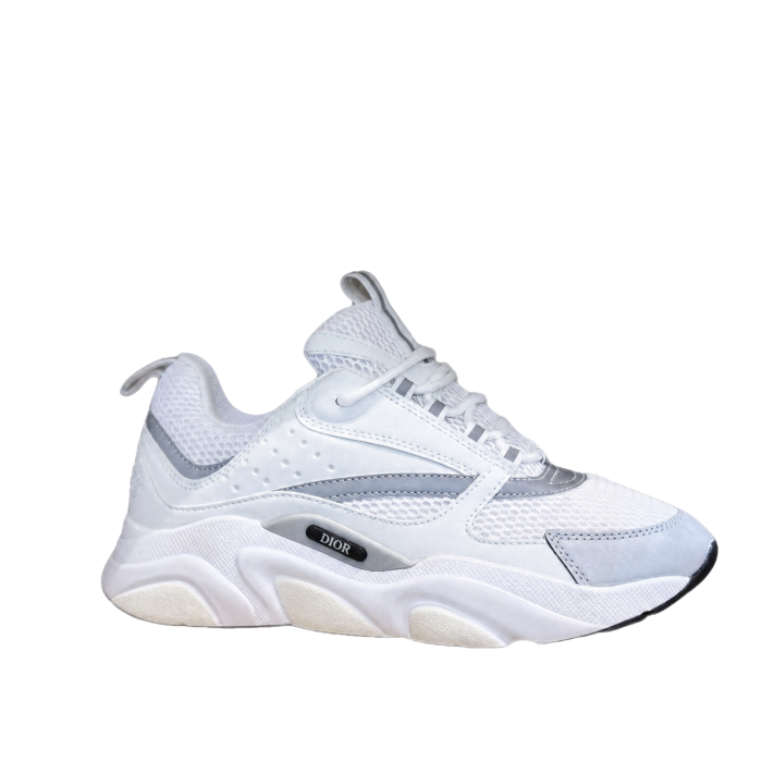 Dior B22 White Grey