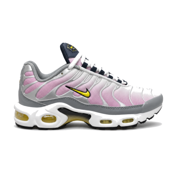 Nike Air Max Plus TN Pink Silver Navy