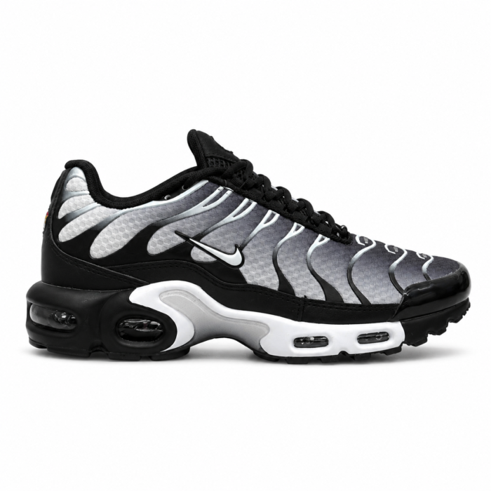 Nike Air Max Plus TN Silver Black